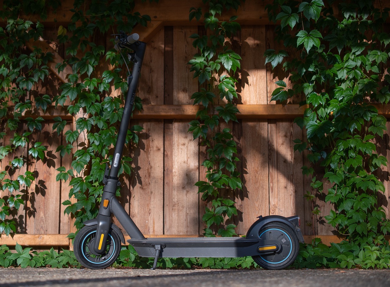 e-scooter, scooter, electric scooter, calm, mobility, speedster, mobile, emission-free, kick scooter, ninebot g30d, segway, e-scooter, scooter, electric scooter, electric scooter, electric scooter, electric scooter, electric scooter