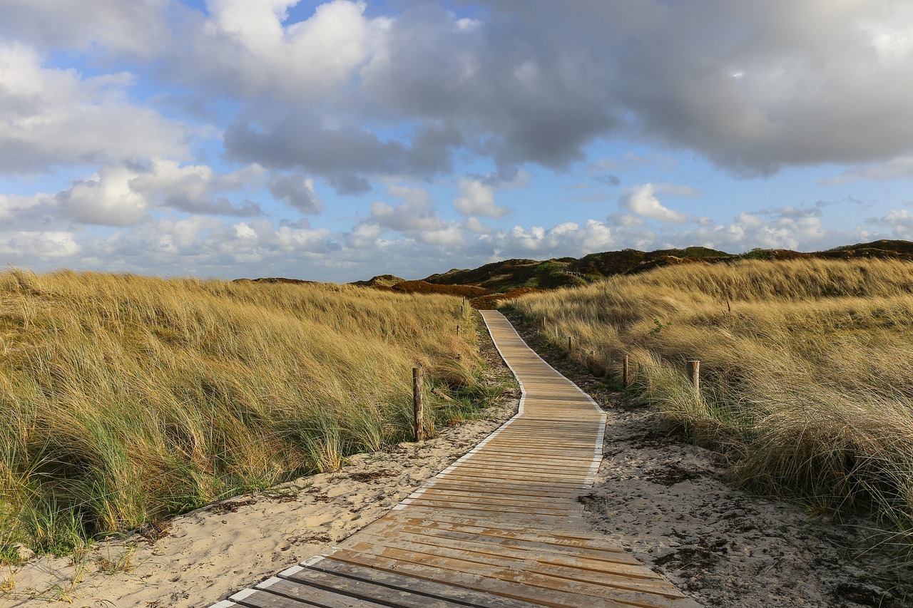 grass, dunes, landscape, germany, north sea, langeoog, sky, summer, east frisia, dünenweg, clouds, island, nature, germany, north sea, langeoog, sky, summer, summer, summer, summer, summer, island, island, island, island, island