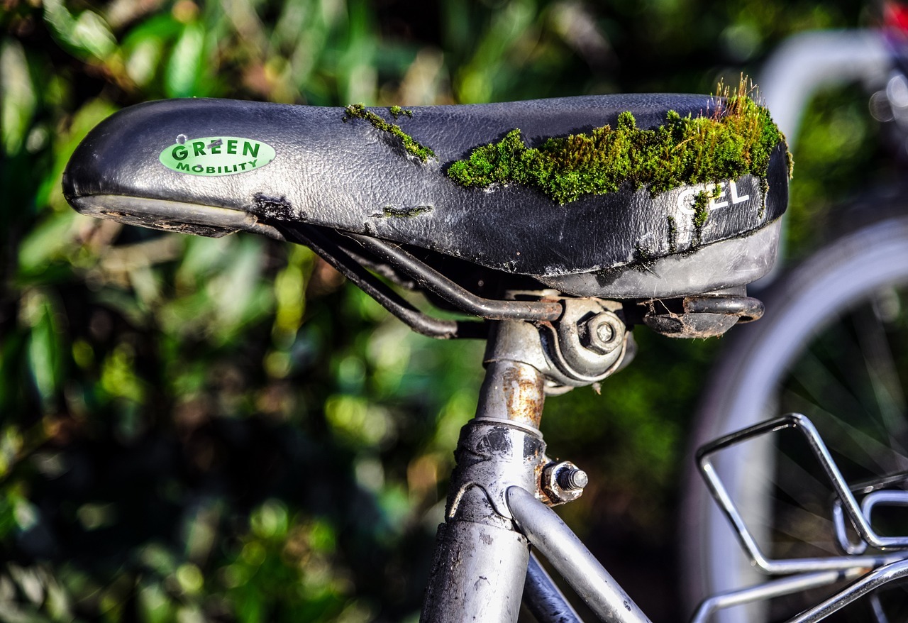 bicycle, moss, green, old, saddle, vegetation, locomotion, bicycle saddle, environment, environmental protection