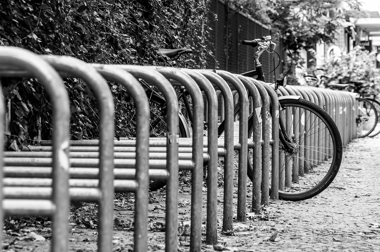 bicycle, bike racks, racks, bike, cycling, monochrome